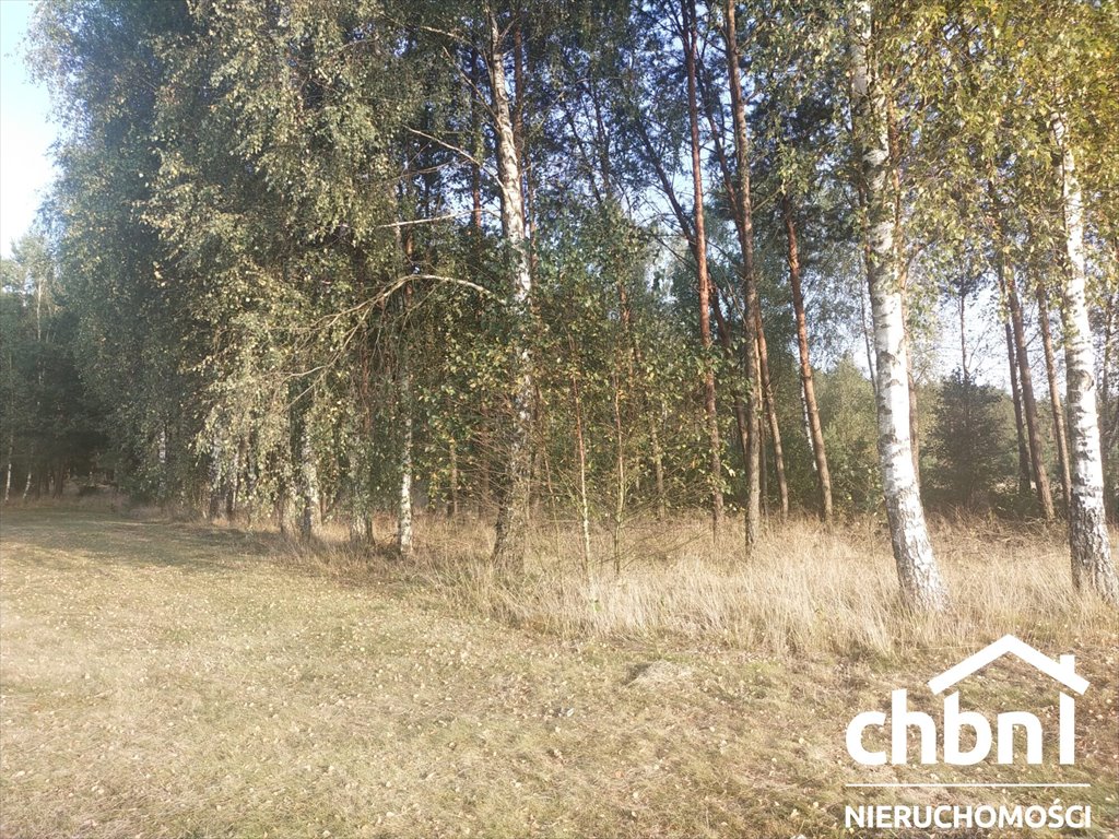 Działka rolna na sprzedaż Rudziny  4 004m2 Foto 6