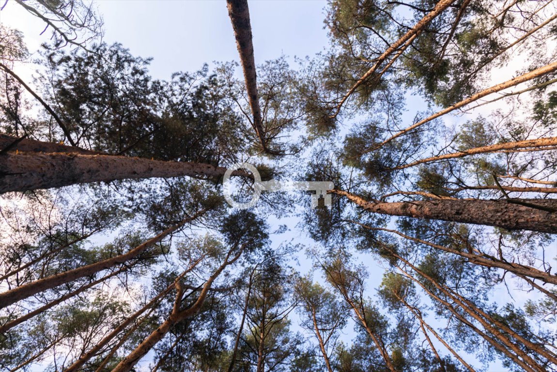 Działka leśna na sprzedaż Wilga, Babci i Dziadka  4 160m2 Foto 1