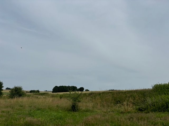 Działka inwestycyjna na sprzedaż Gryfów Śląski  5 400m2 Foto 7