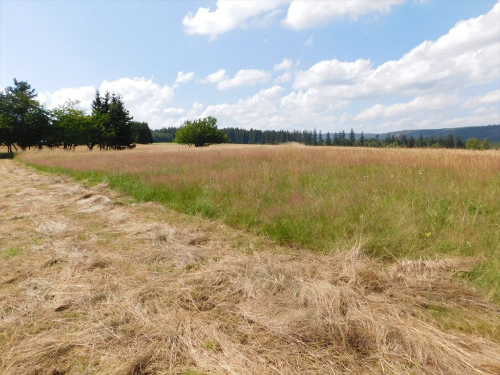 Działka budowlana na sprzedaż Duszniki-Zdrój  2 622m2 Foto 3