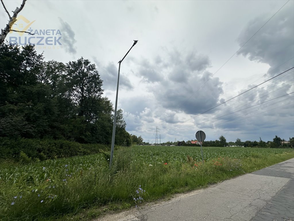 Działka budowlana na sprzedaż Kożuszki-Parcel  6 784m2 Foto 4