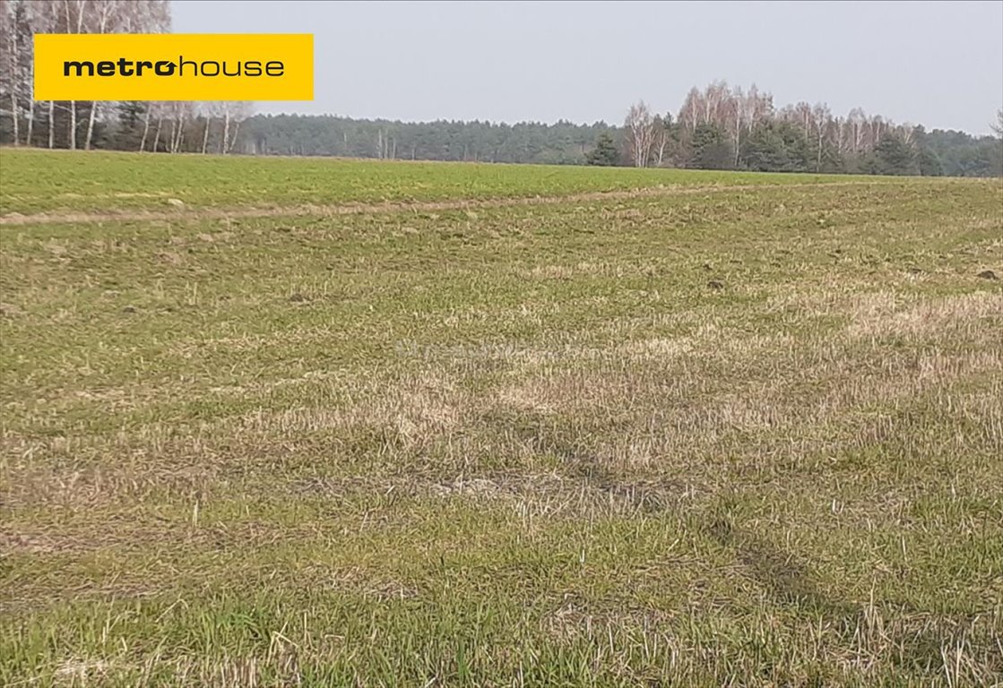 Działka rolna na sprzedaż Olszyc Szlachecki  2 000m2 Foto 1