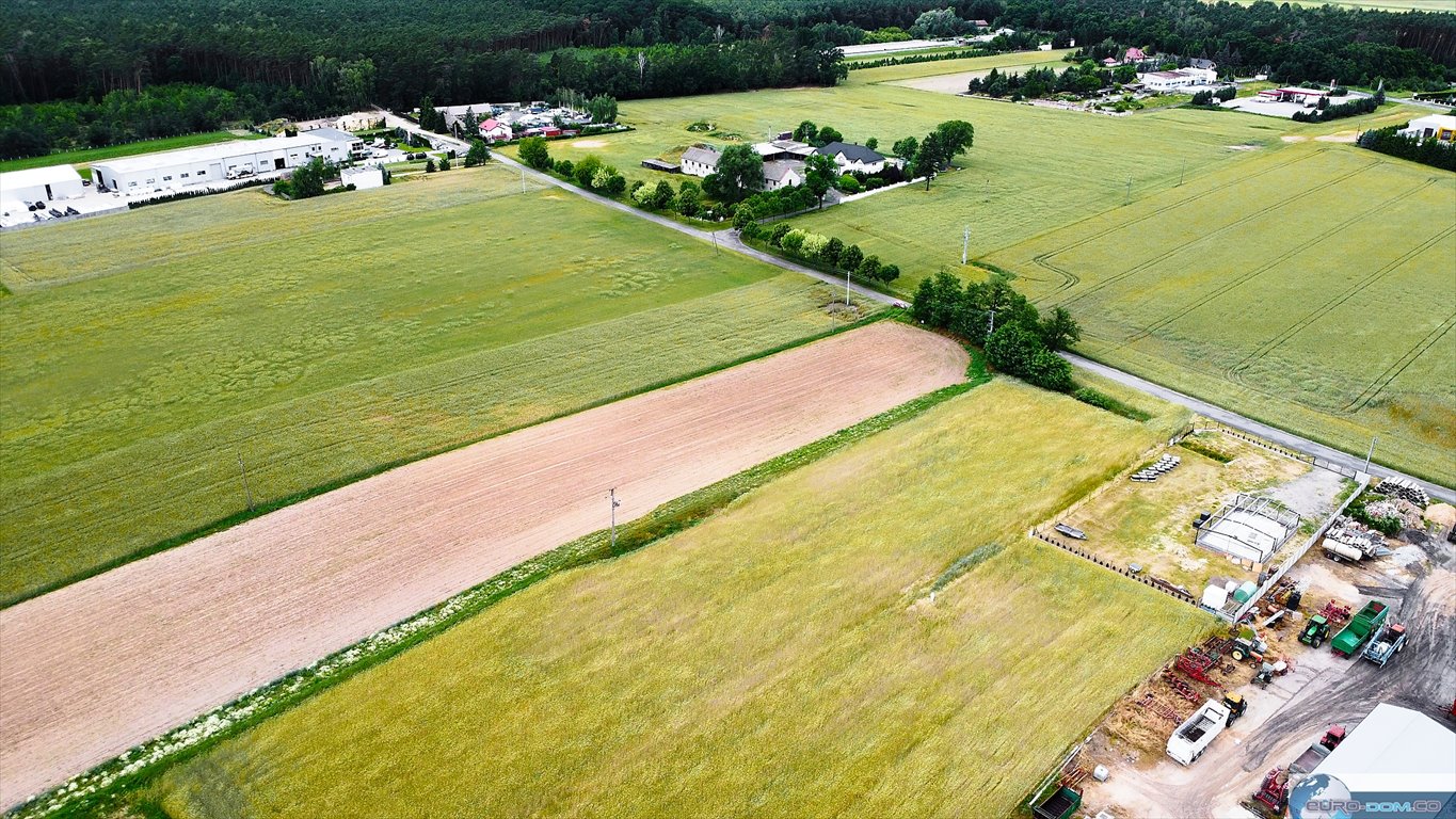 Działka budowlana na sprzedaż Grodzisk Wielkopolski  718m2 Foto 7