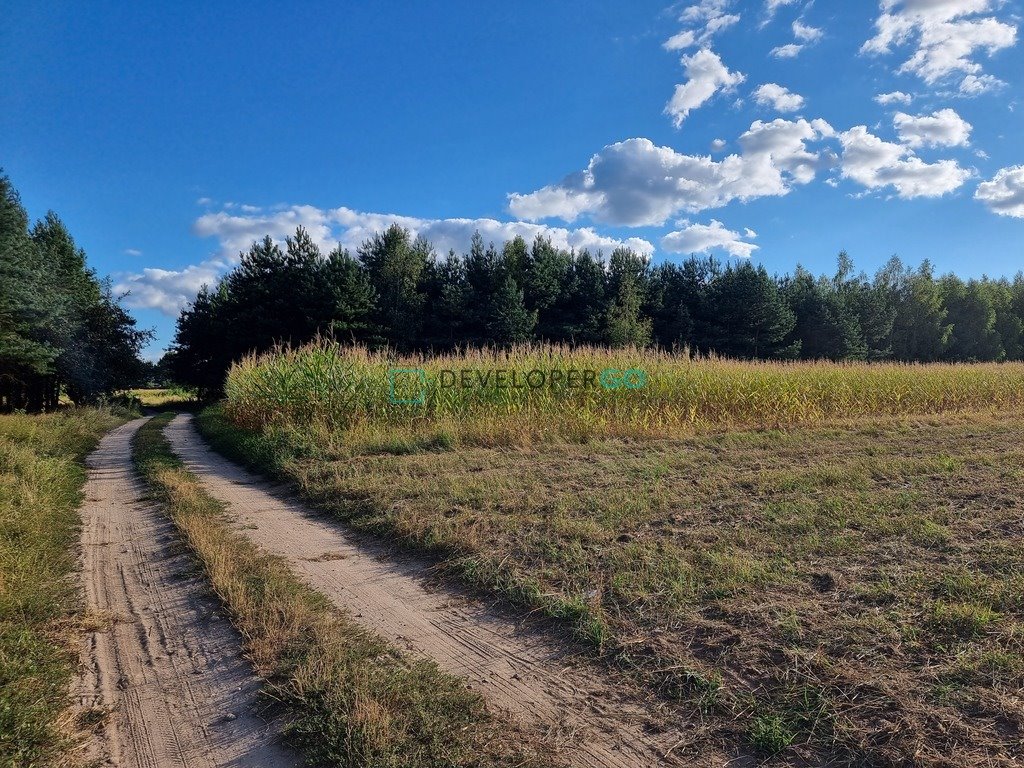Działka z lasem w Trypucie, 1108 m², spokojna okolica Trypucie  1 108m2 Foto 1
