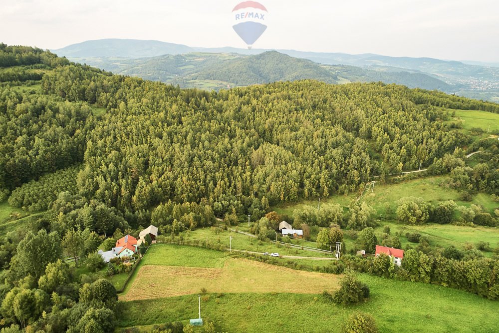 Działka budowlana na sprzedaż Ochotnica Dolna  4 383m2 Foto 15