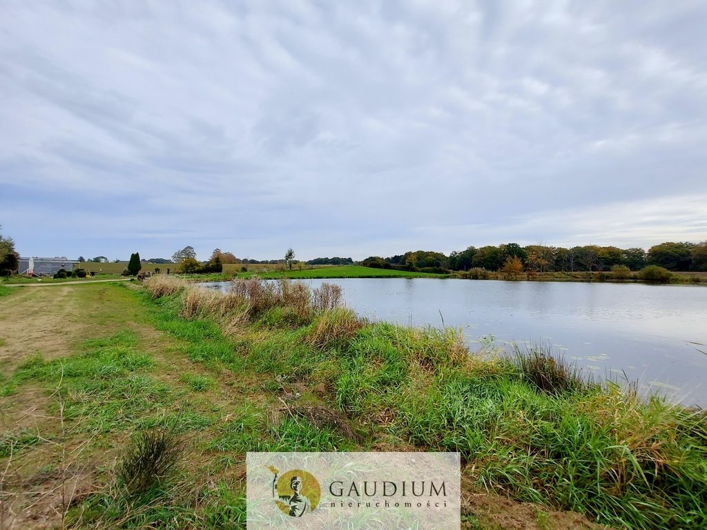 Działka budowlana na sprzedaż Przodkowo  1 463m2 Foto 12