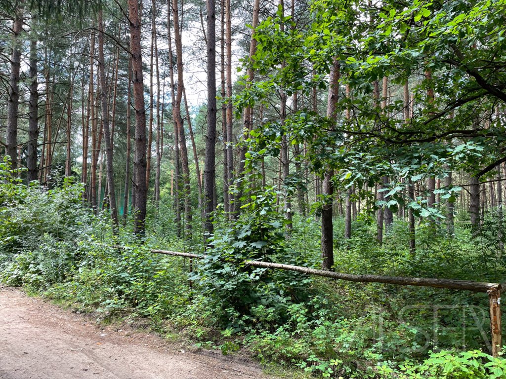 Działka rekreacyjna na sprzedaż Brańszczyk, Brańszczyk-Nakieł, Spokojna  1 144m2 Foto 10