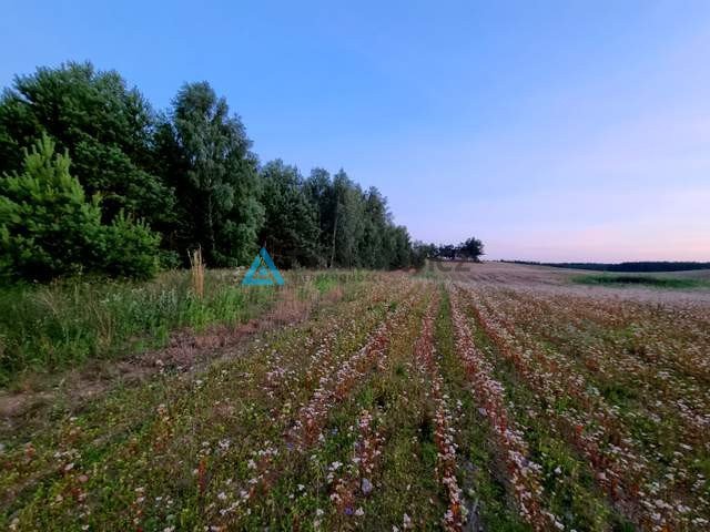 Działka rolna na sprzedaż Piechowice  14 730m2 Foto 5