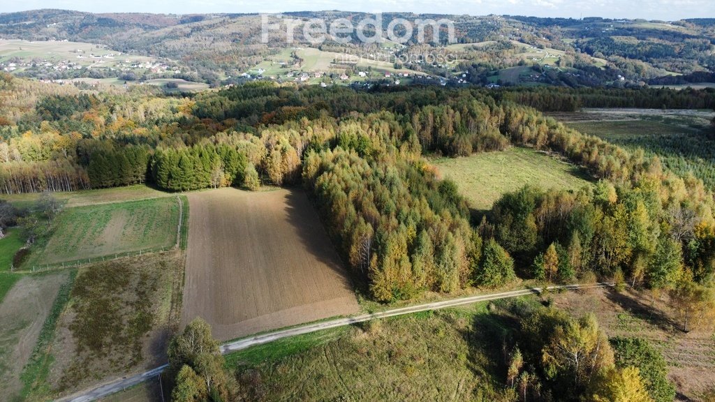 Działka budowlana na sprzedaż Połomia  5 700m2 Foto 11