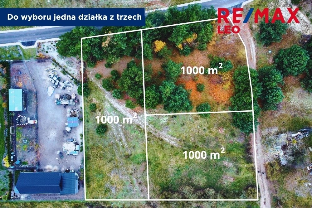 Działka rolna na sprzedaż Dębniaki  1 000m2 Foto 2