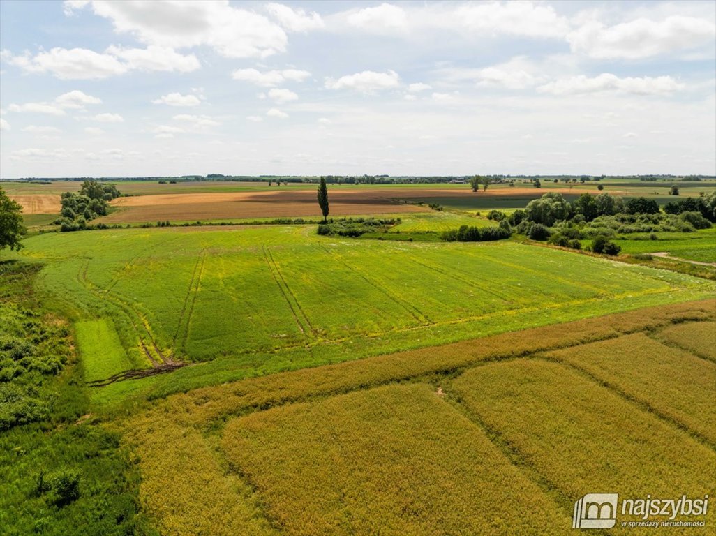 Działka rolna na sprzedaż Obromino  21 701m2 Foto 9