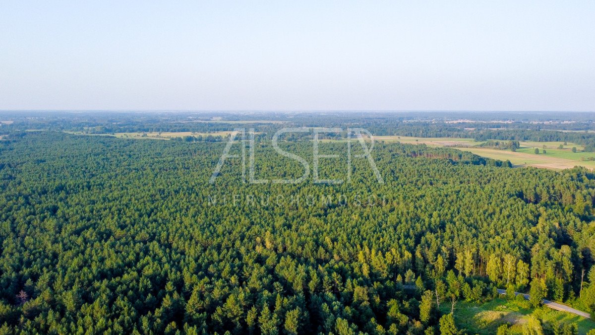 Działka inwestycyjna na sprzedaż Grądy Szlacheckie, Julianka  80 600m2 Foto 4