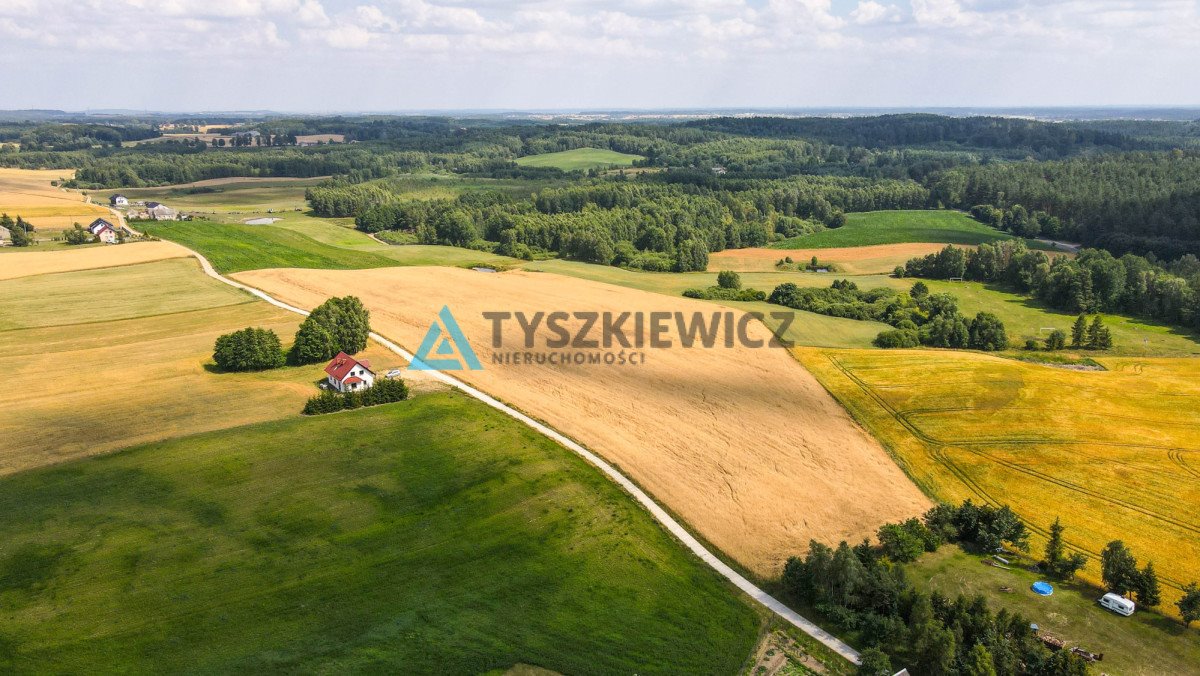 Działka rolna na sprzedaż Szczodrowo  38 300m2 Foto 4