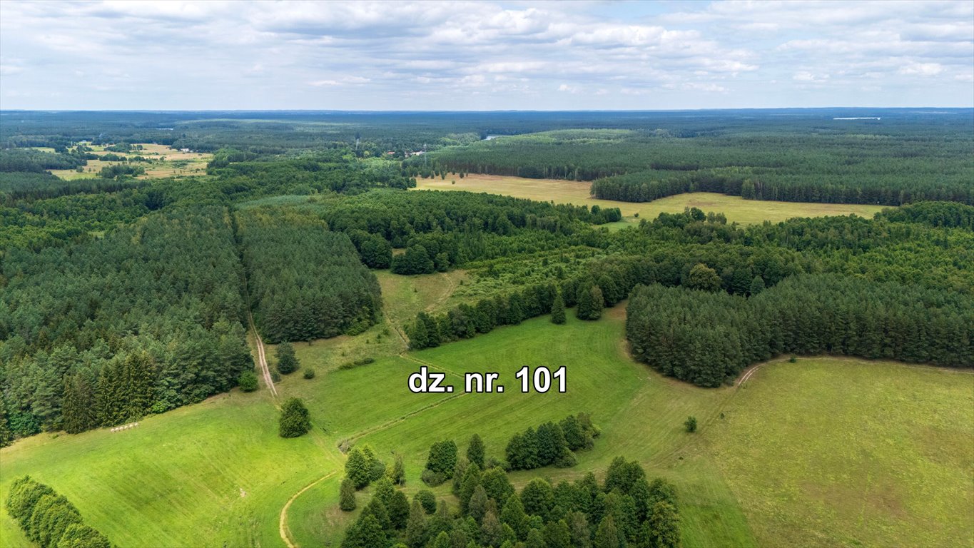 Działka rolna na sprzedaż Rekownica  25 000m2 Foto 2