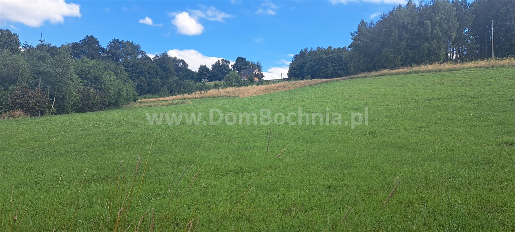 Działka budowlana na sprzedaż Chrostowa  2 800m2 Foto 2