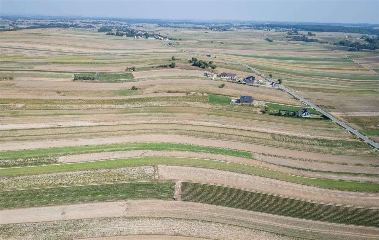 Działka siedliskowa na sprzedaż Sułoszowa  29 400m2 Foto 9