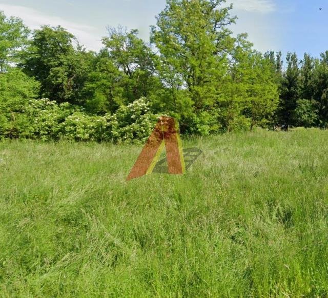 Działka komercyjna na sprzedaż Kraków, Nowa Huta, PRZYLASEK RUSIECKI, Branicka  15 000m2 Foto 1