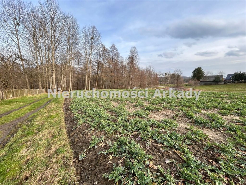 Działka inna na sprzedaż Zebrzydowice Górne, Groblowa  9 156m2 Foto 2