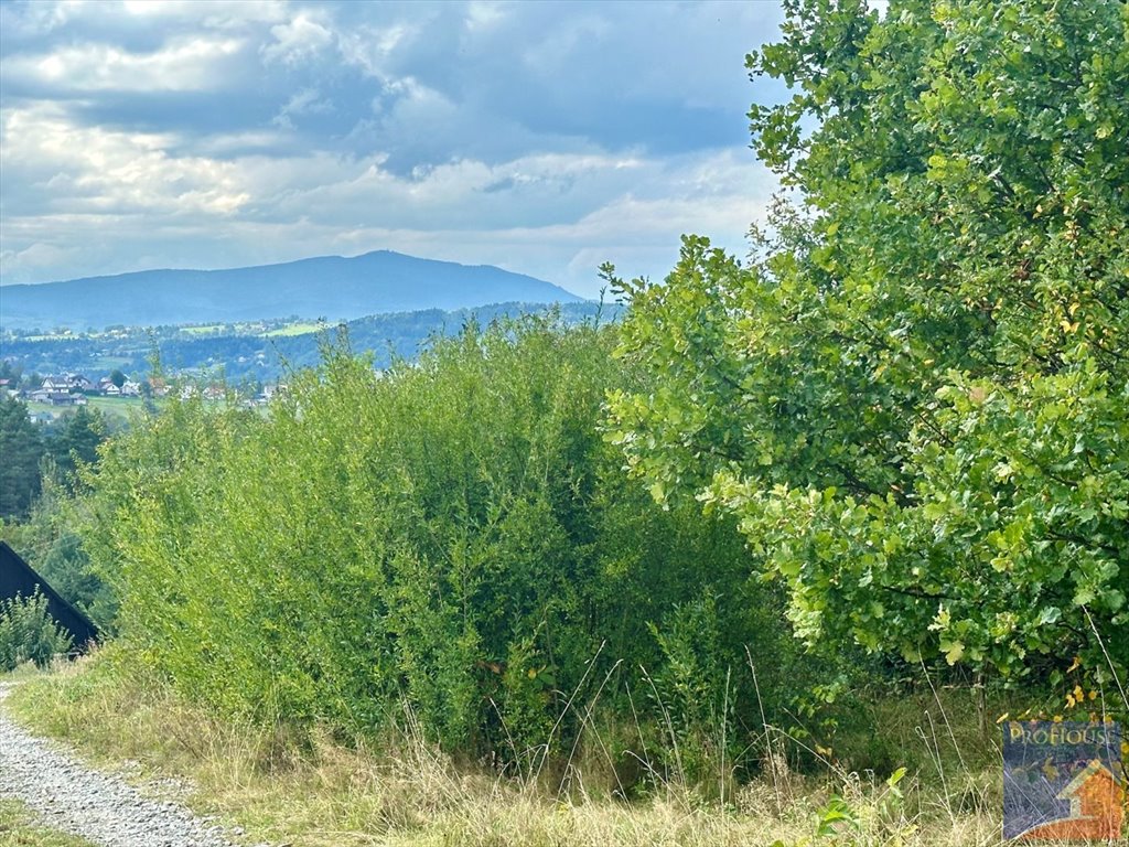 Działka budowlana na sprzedaż Limanowa, Stara Wieś  5 700m2 Foto 2