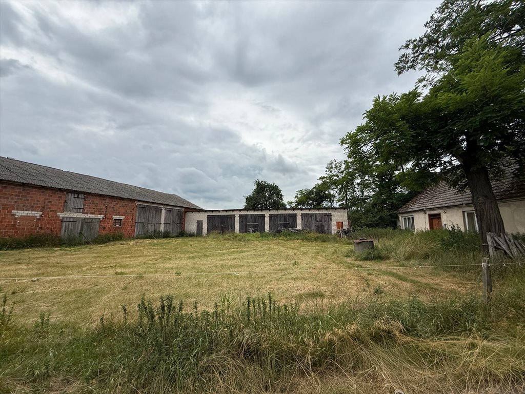 Duże siedlisko z budynkiem do remontu i stodołami zapraszam Babia  118 200m2 Foto 1