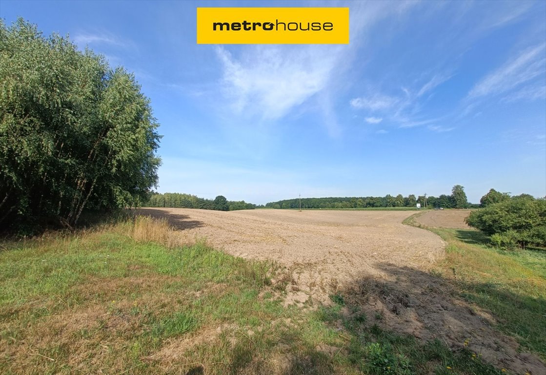 Działka inwestycyjna 2,24 ha z lasem i podziałem - polecam! Żagno  22 400m2 Foto 1