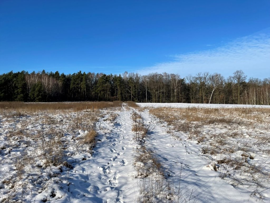 Działka budowlana na sprzedaż Kowalewko, Szyjki  1 070m2 Foto 8