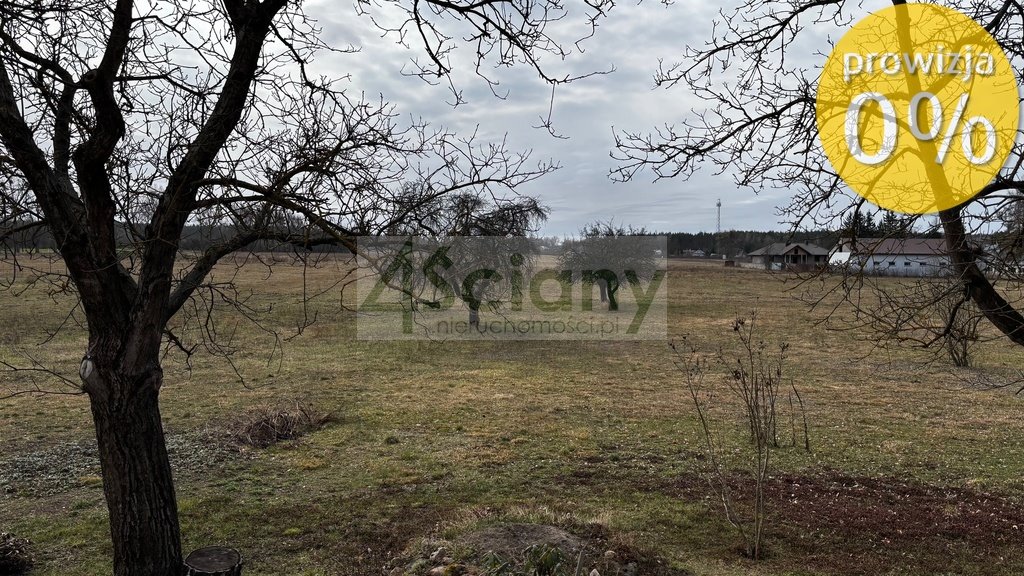 Działki rolne 39 131 m² z drogami, bez prowizji! Chudolipie  39 131m2 Foto 1