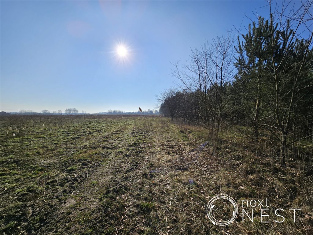 Działka budowlana na sprzedaż Krakowiany  33 300m2 Foto 9