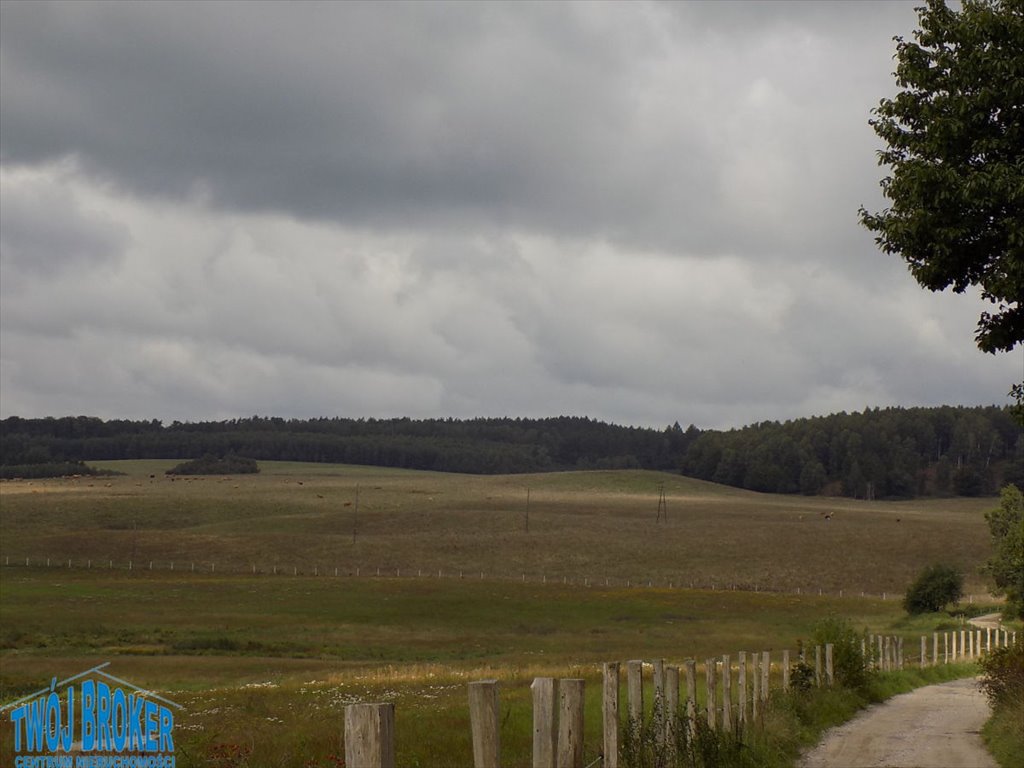 Działka inwestycyjna na sprzedaż Rozłazino  342 160m2 Foto 2