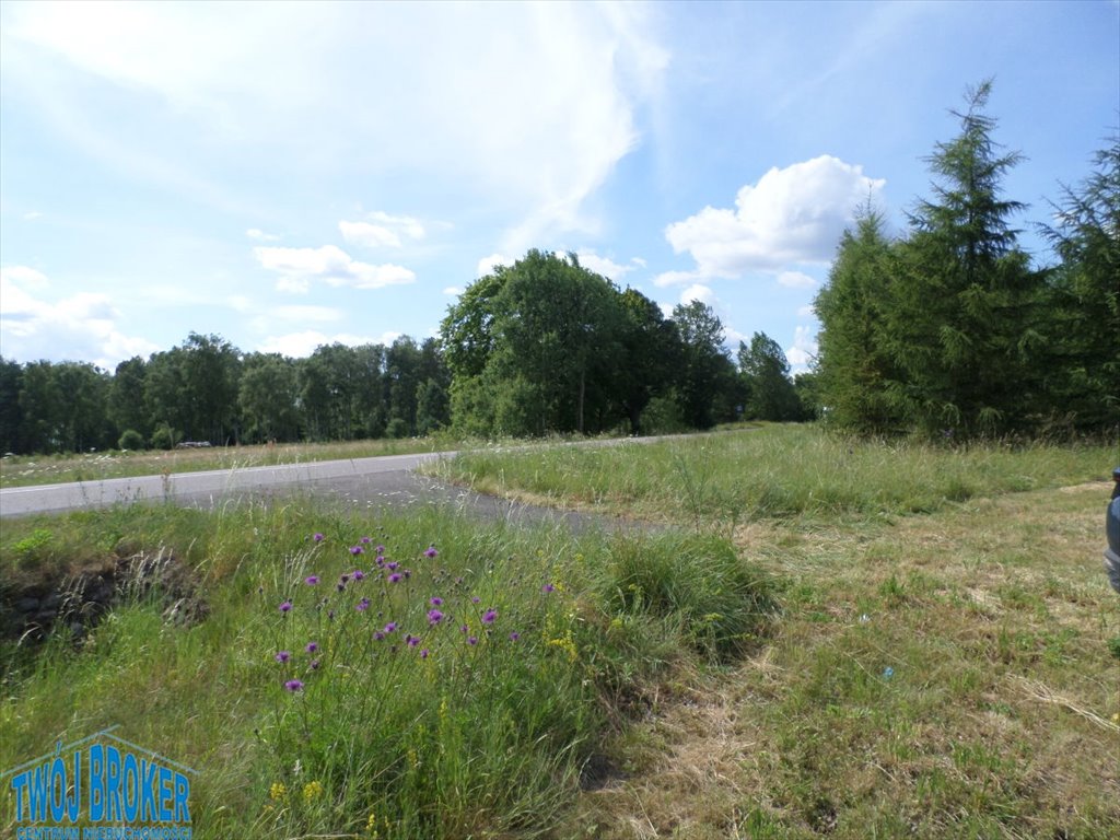 Działka rolno-budowlana 26 230 m² z dostępem do drogi asfaltowej Strzeczona, Strzeczona  26 230m2 Foto 1