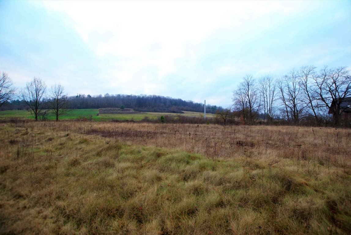 Działka 2273 m² z dostępem do mediów i asfaltowym dojazdem - polecam! Zajączków  2 273m2 Foto 1