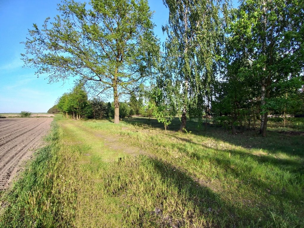 Działka budowlana na sprzedaż Wola Zbrożkowa  18 923m2 Foto 6