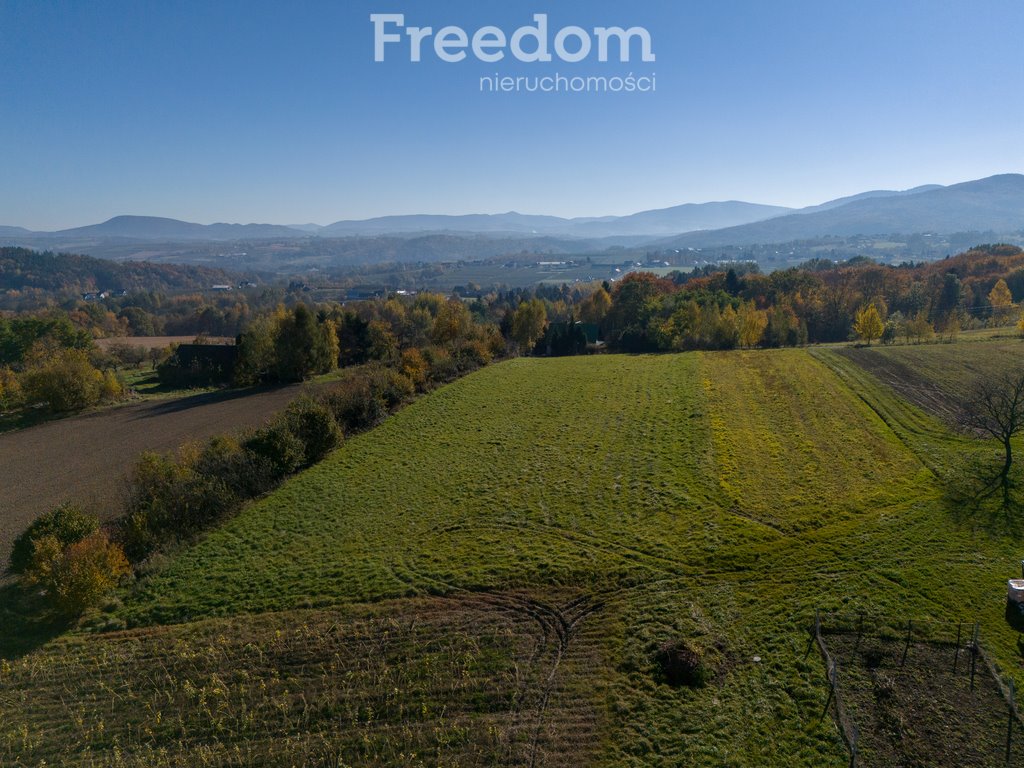 Działka budowlana na sprzedaż Raciechowice  4 600m2 Foto 1