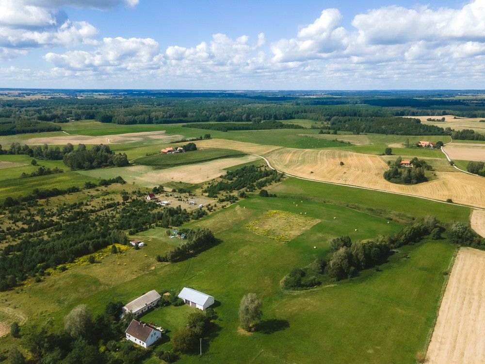 Działka rolna na sprzedaż Targowo  3 365m2 Foto 9