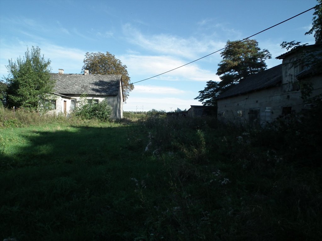 Działka siedliskowa na sprzedaż Bylice, Bylice  3 000m2 Foto 4