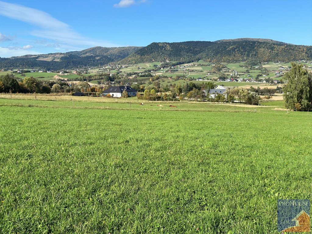 Działka budowlana na sprzedaż Męcina  6 600m2 Foto 5