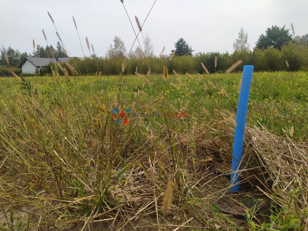 Działka budowlana na sprzedaż Walendów  1 000m2 Foto 3