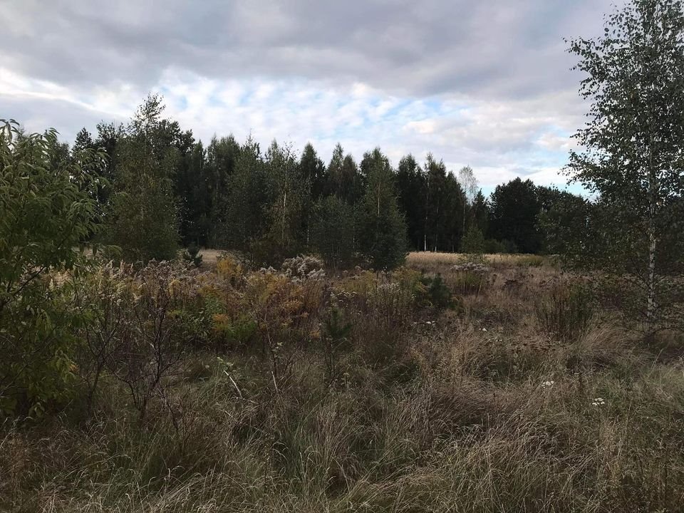 Działka rekreacyjna na sprzedaż Szymki  900m2 Foto 3