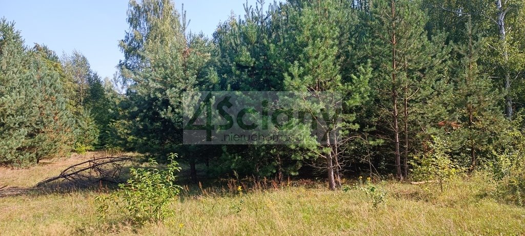 Działka 35 728 m² z mediami i lasem w Zalesiu Zalesie  35 728m2 Foto 1