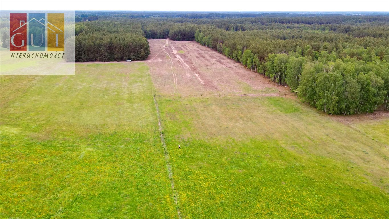 Działka rolna na sprzedaż Chorzele  52 470m2 Foto 5