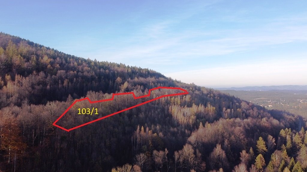 Działka leśna na sprzedaż Karpacz, Górna  14 544m2 Foto 1