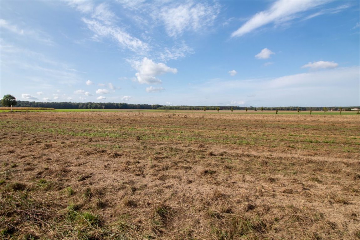 Działka budowlana na sprzedaż Sieraków Śląski, Osiedlowa  952m2 Foto 6