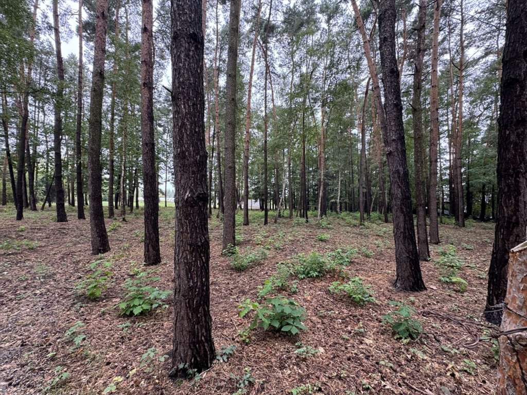 Działka budowlana na sprzedaż Konstancin-Jeziorna  4 443m2 Foto 2