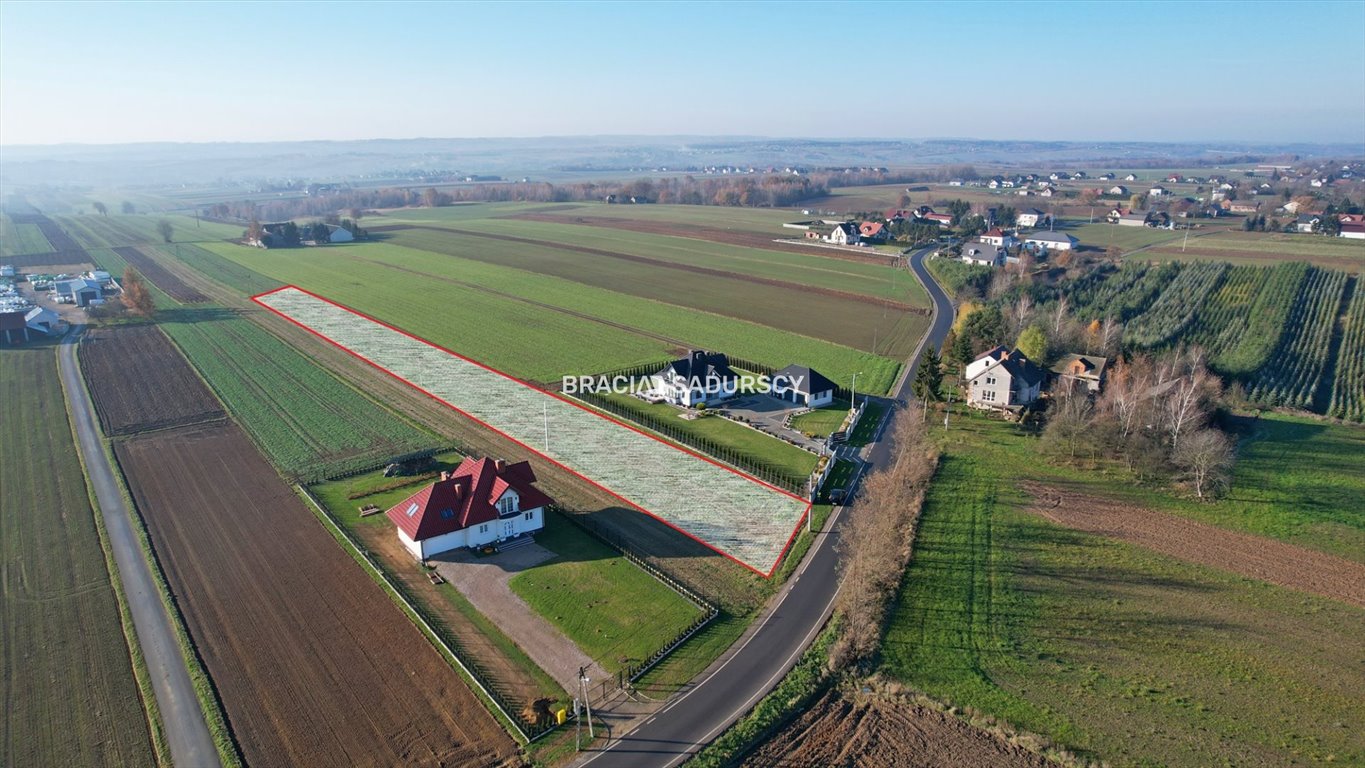 Działka budowlana na sprzedaż Celiny, Widokowa  4 200m2 Foto 8