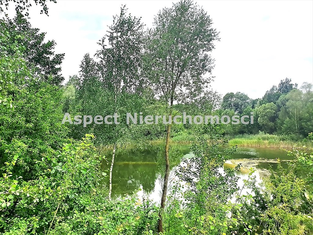 Działka rolna na sprzedaż MOŃKI, Hornostaje  100 900m2 Foto 1