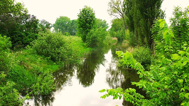 Działka pod zabudowę w Giżynie z dostępem do jezior Giżyn  8 227m2 Foto 1