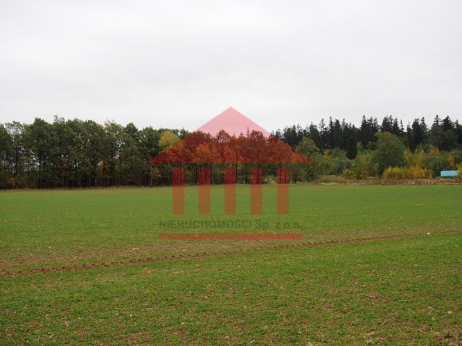 Działka budowlana z widokiem na Zamek Grodziec, 1172 m² Nowa Wieś Grodziska  1 172m2 Foto 1