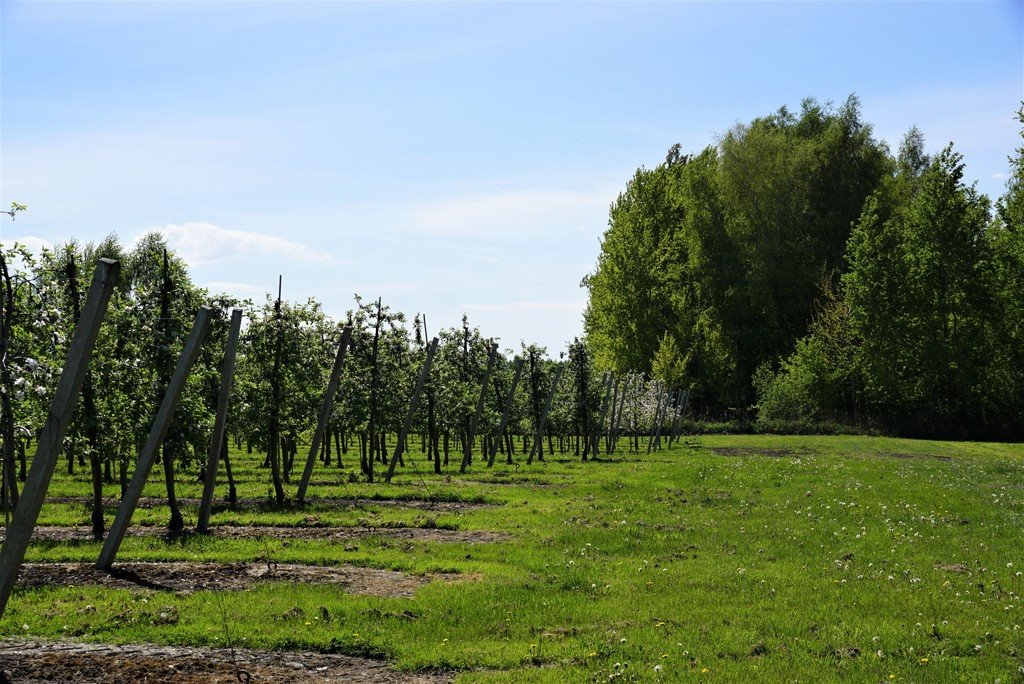 Dom na sprzedaż Wincentów  240m2 Foto 14