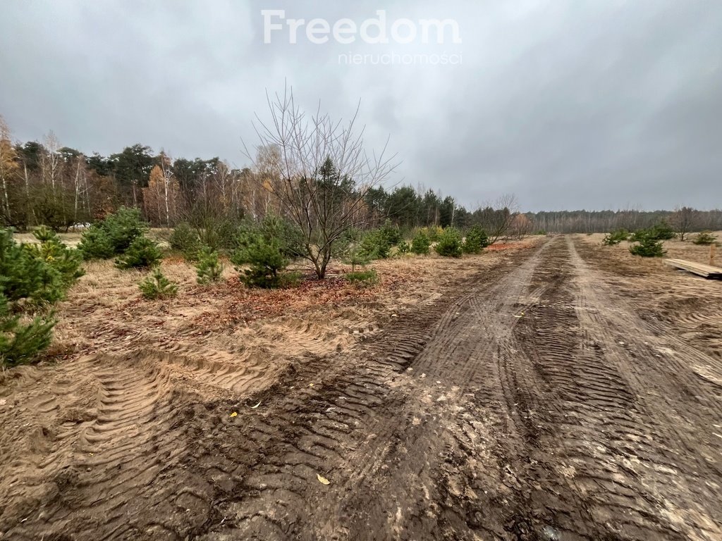 Działka budowlana na sprzedaż Czarne Błoto  1 000m2 Foto 3