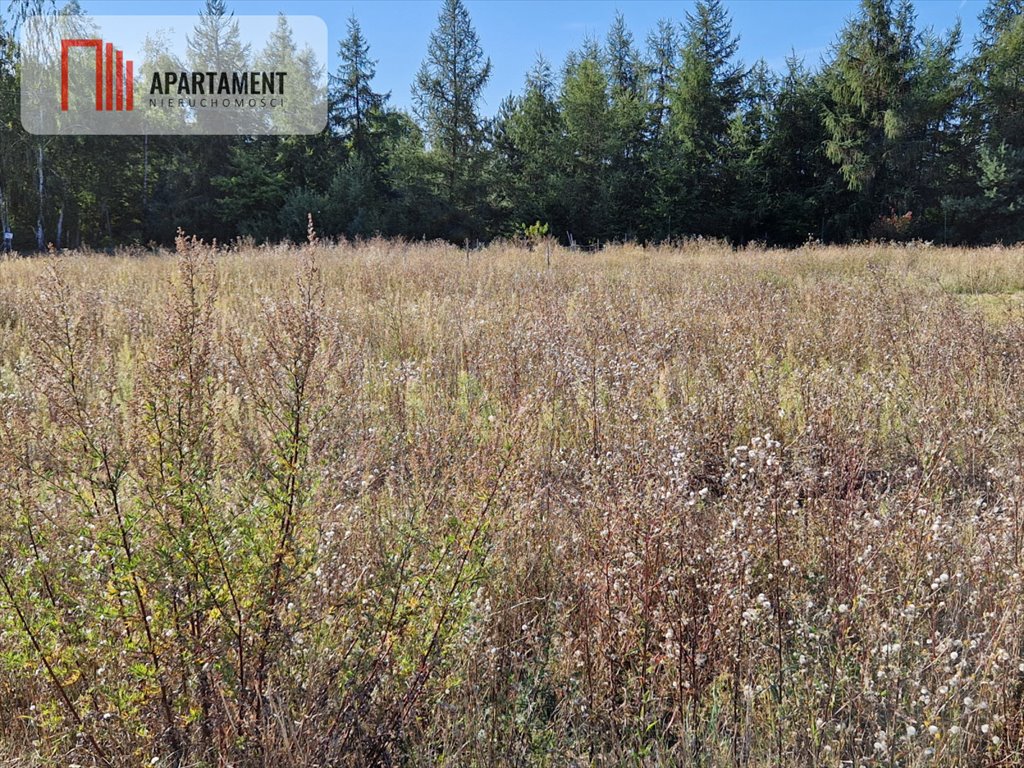 Działka budowlana na sprzedaż Rogowo  1 100m2 Foto 4